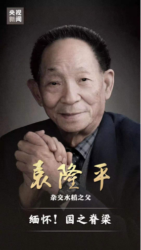 &#113;&#121;&#21315;&#20159;&#20307;&#32946;